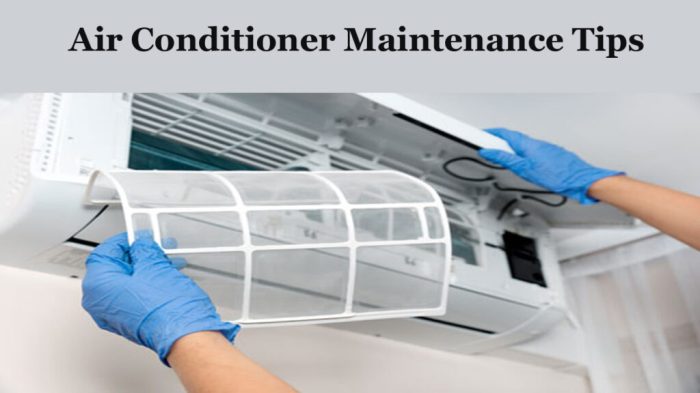 Best Air Conditioner Maintenance Tips